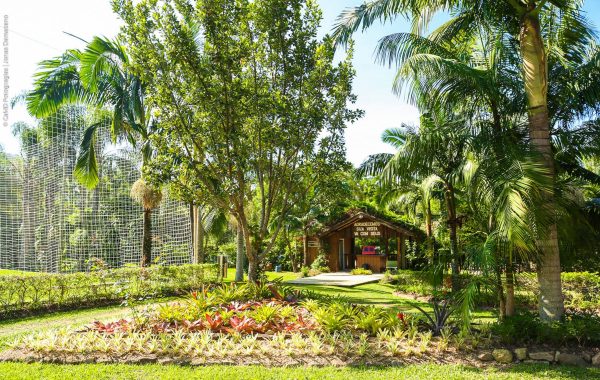 CASCATA ENCANTADA (1)