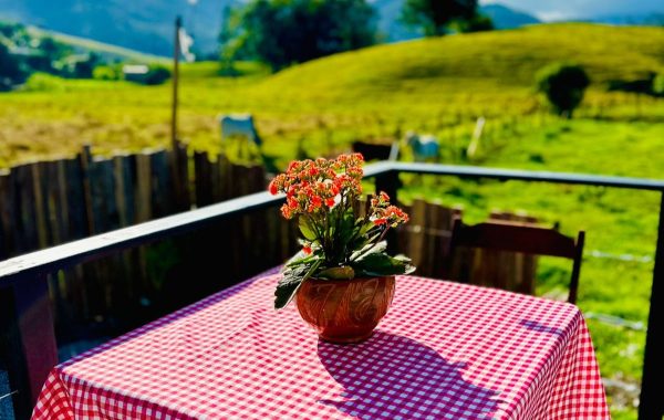 Chalé Costa Verde (10)